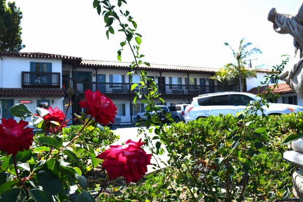 Sunset Motel image 48