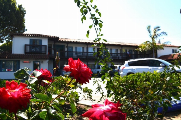 Sunset Motel image 49